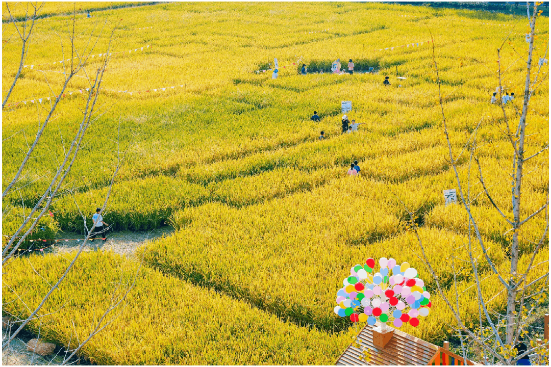 16983034713570158NbH.gif 6.gif