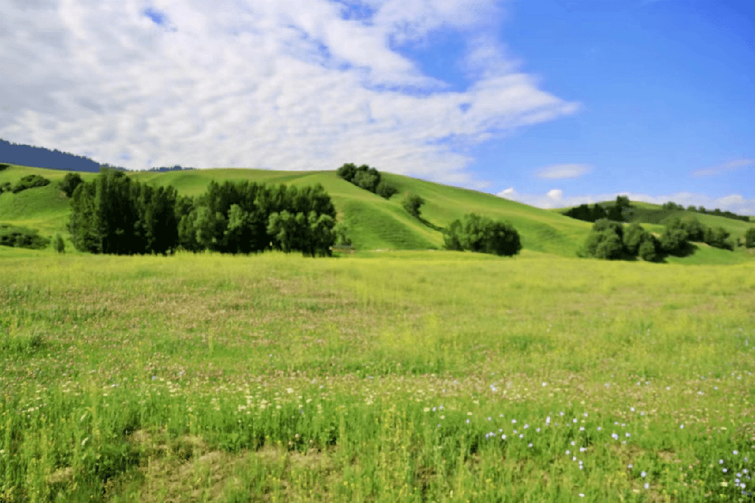 16987378084256330Rkw.gif 640.gif