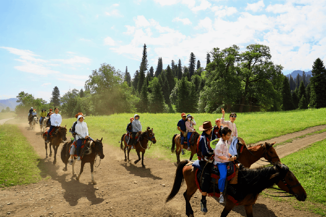 1698737932649273Kxnu.gif 2.gif