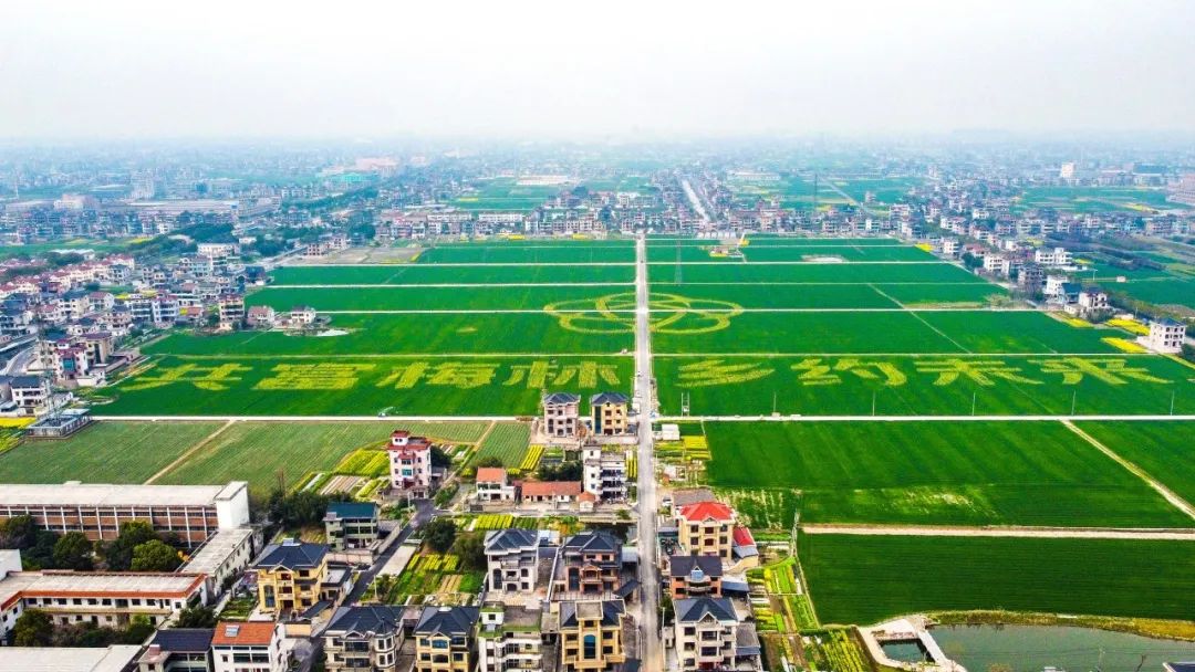 1704769525784141ZITC.jpg 640 (1).jpg