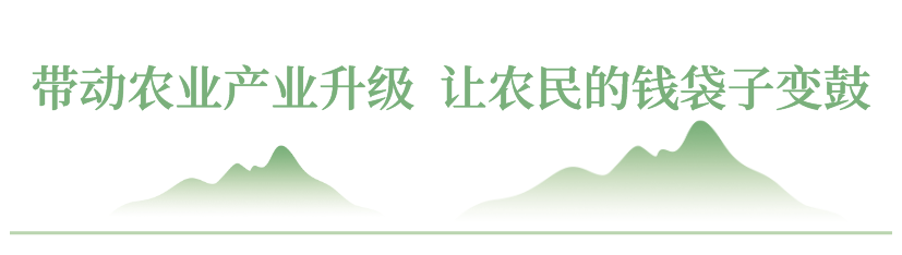 1704769671590900Wdnh.png 3.0.png