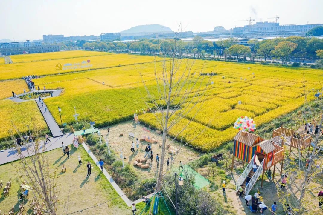 1704779024587882Qn2f.jpg 3.1.jpg